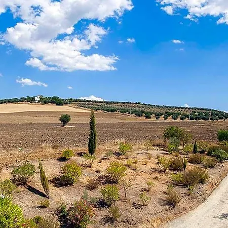 Arriadh Ronda