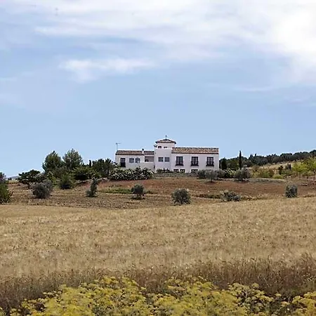 Arriadh