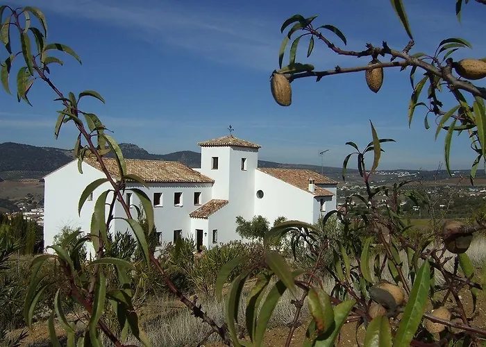 Готель Arriadh 2*