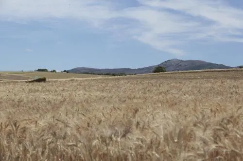 Arriadh 2* Ронда